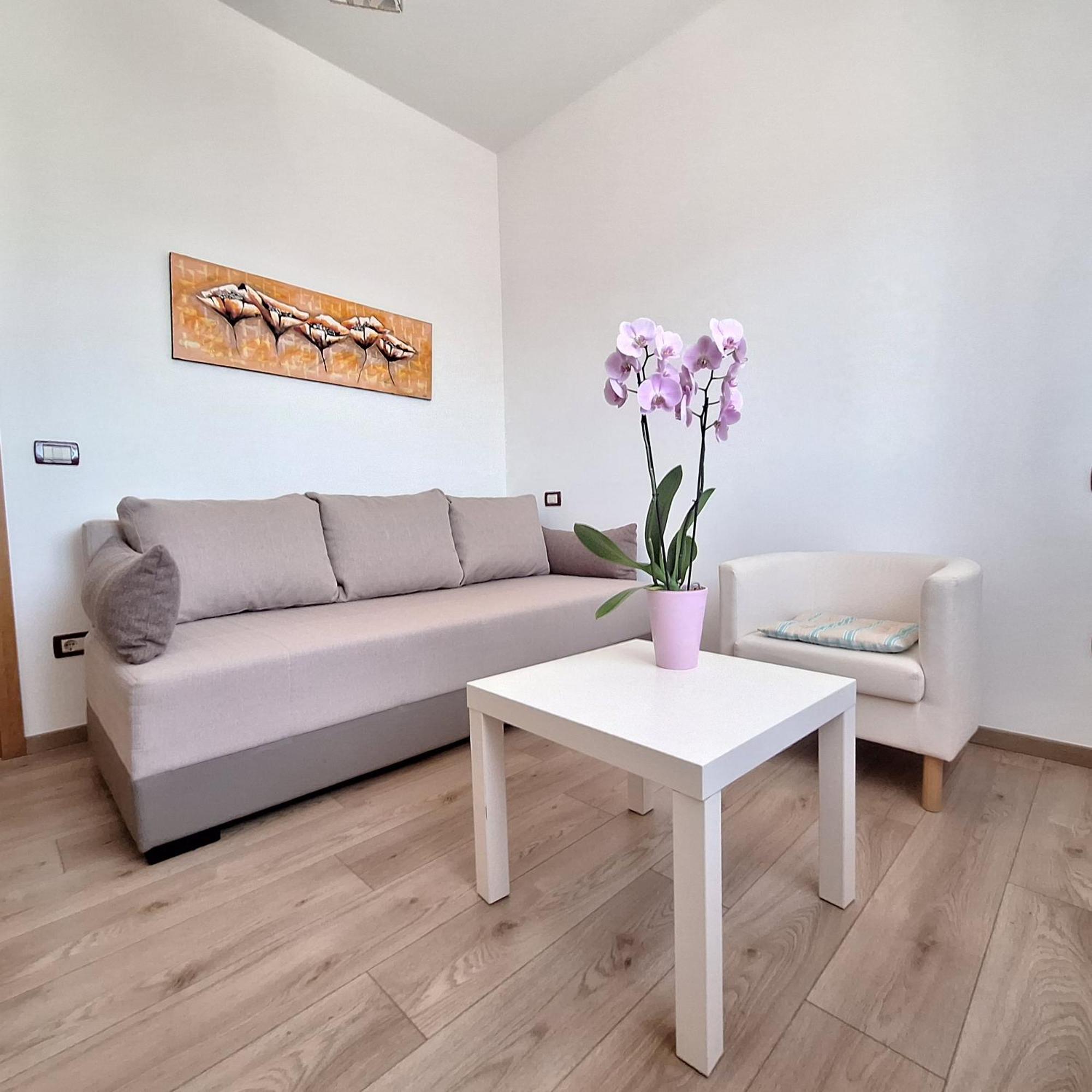 Apartment Mita Grožnjan Zewnętrze zdjęcie